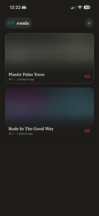 Project overview showing songs